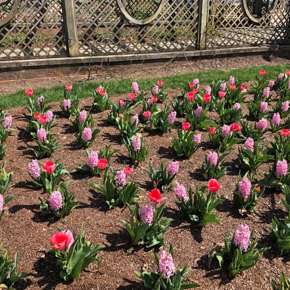 Meet your Posher, Stefanie - Picture 1 of 1